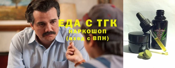 мдпв Елабуга
