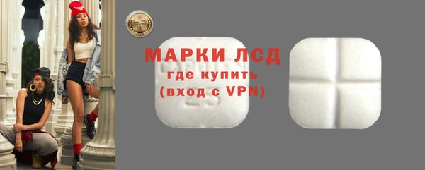 мдпв Елабуга