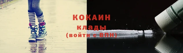 мдпв Елабуга