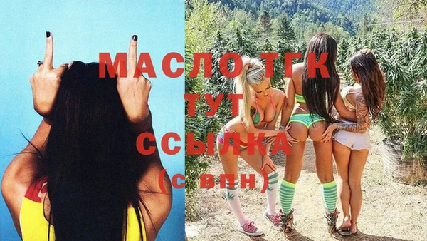 мдпв Елабуга