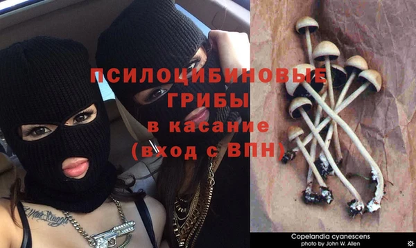 мдпв Елабуга