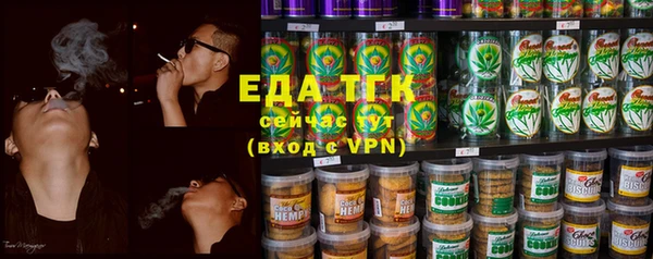 мдпв Елабуга