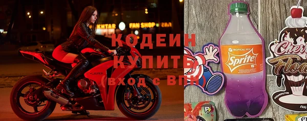 мдпв Елабуга