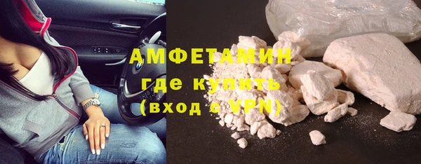 мдпв Елабуга
