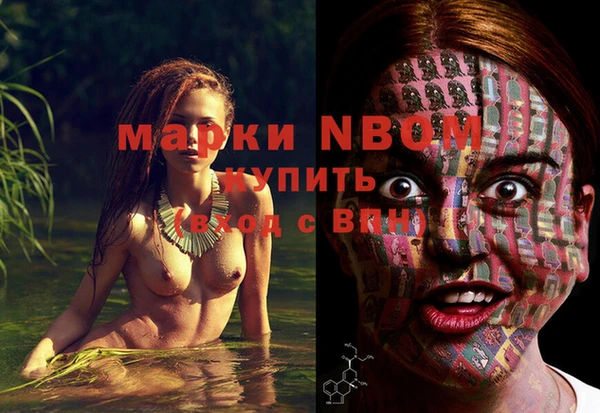 spice Елизово