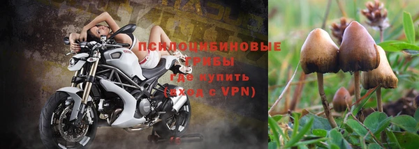 spice Елизово