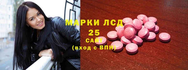 мдпв Елабуга
