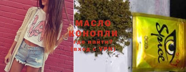 мдпв Елабуга