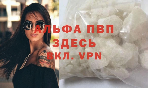 spice Елизово